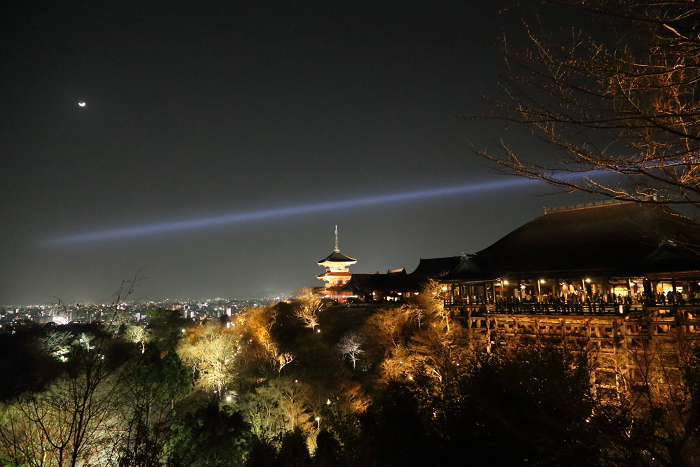 東山花灯路2013（その4）_b0169330_21521680.jpg