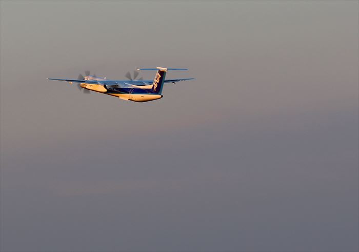 飛行機三昧、その２_b0242140_1655829.jpg