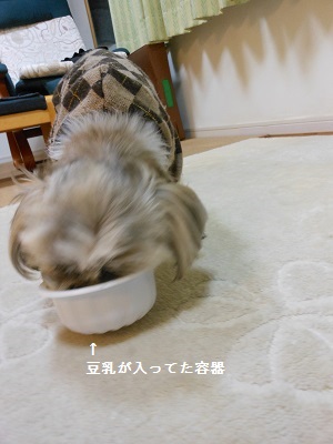 c0261346_21304461.jpg
