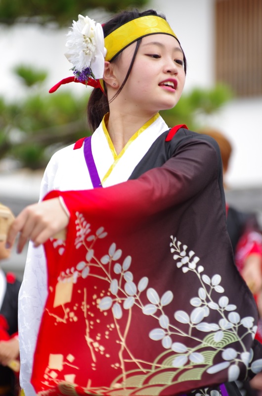 a0009554_07326.jpg