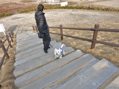「千年希望の丘」と「今夜はな〜んだ?」_c0260460_13041533.jpg