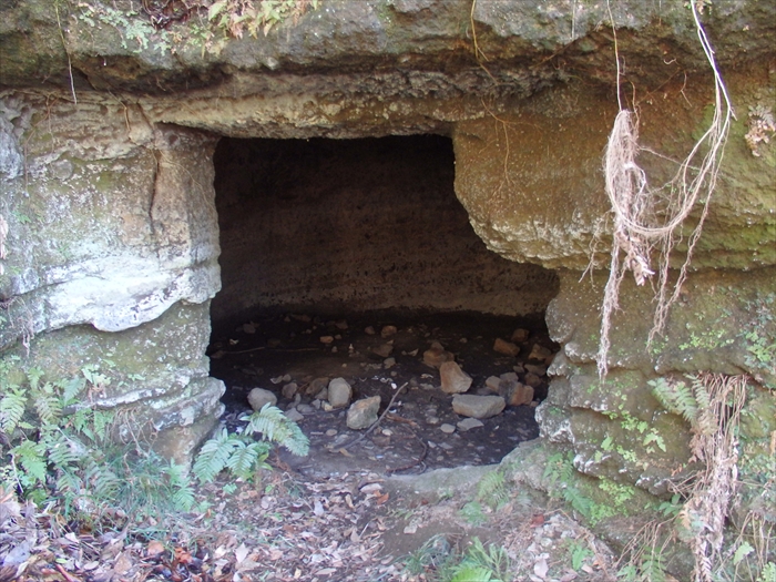 d0031171_81476.jpg
