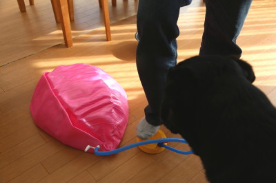 f0037378_21254586.jpg