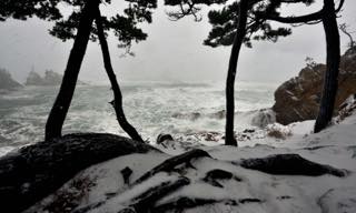 雪景色的には昨日がベストだったかもしれないけど....._b0194185_22581181.jpg