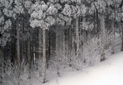 雪景色的には昨日がベストだったかもしれないけど....._b0194185_22583512.jpg