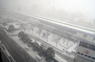 雪景色的には昨日がベストだったかもしれないけど....._b0194185_2259460.jpg