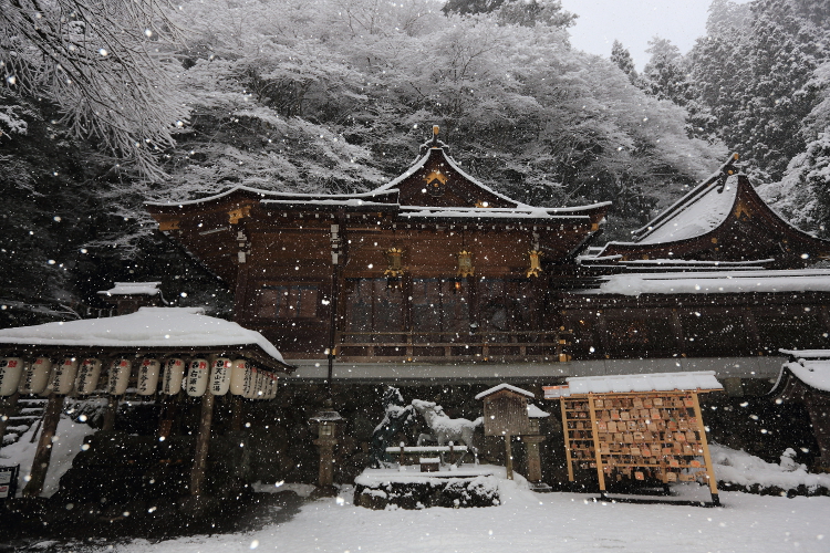 貴船神社_e0051888_5332437.jpg