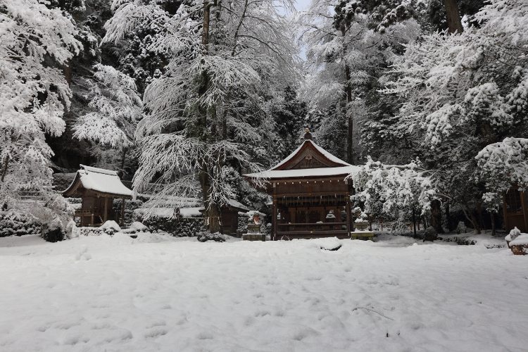 貴船神社_e0051888_5352181.jpg