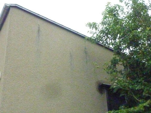 外壁のメンテナンス 現場のことは俺に聞け 東村山市 相羽建設の現場ブログ