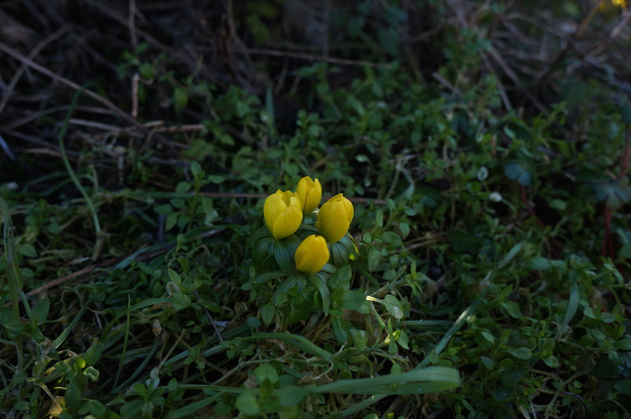 ハルノアシオト_f0106597_5544760.jpg