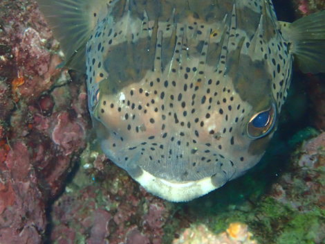 e0115199_15363325.jpg