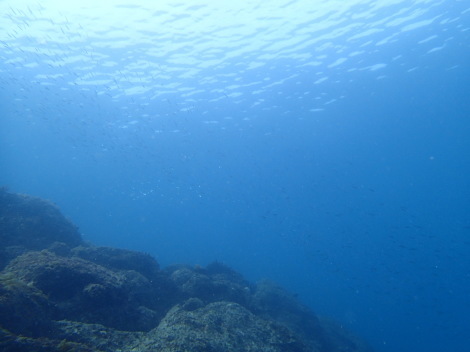 e0115199_15472733.jpg