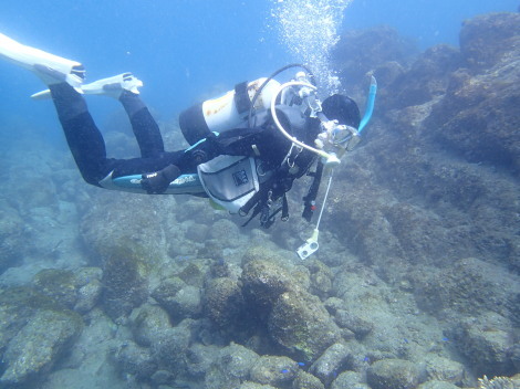 e0115199_15482148.jpg