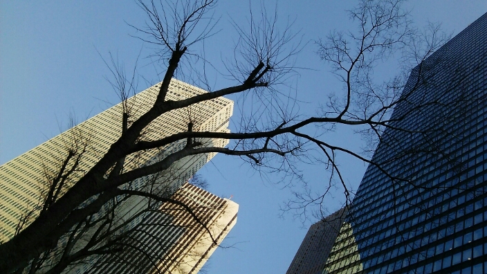 c0212604_184368.jpg