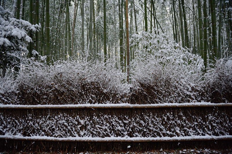 2015京の雪景色＠嵐山　其の一_f0032011_19565990.jpg