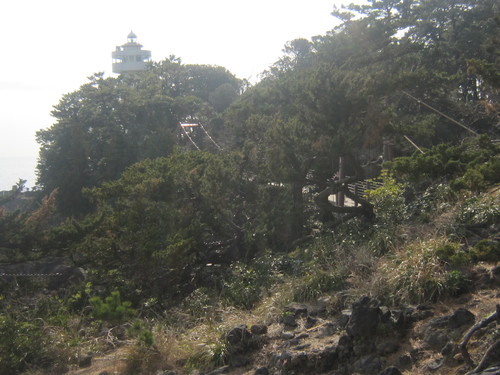 d0162225_0245615.jpg