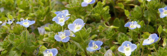 b0283437_19553496.jpg