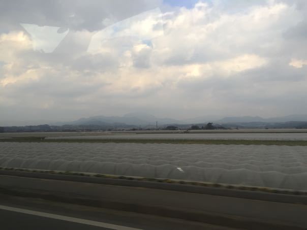 熊本県菊池市のカスミソウを視察しました。_f0329538_7534920.jpg