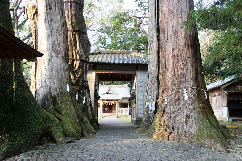 マジェスティ125♪日帰りツーリング♪海陽町編-12♪蛭子神社ラスト♪_d0058941_20504551.jpg