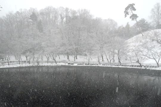 c0093046_925210.gif