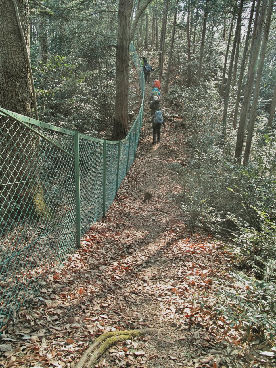 c0008948_15583532.jpg