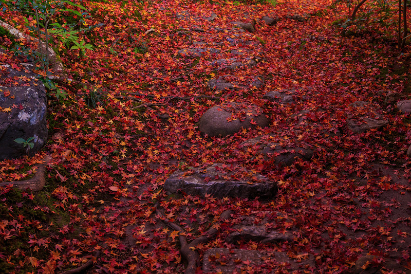 Enri-an Red（厭離庵）_f0155048_23413482.jpg