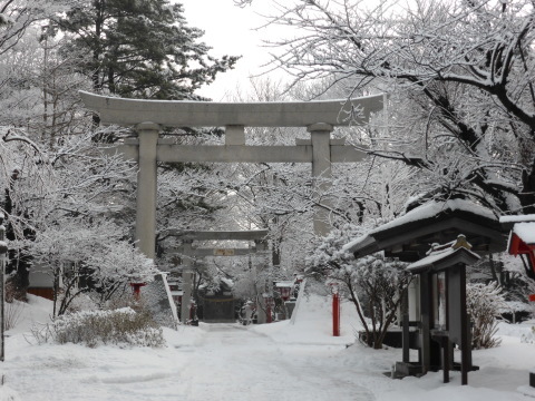 b0238249_20204190.jpg