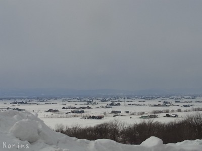 キトウシ山 スノーシュー_e0326953_16403057.jpg