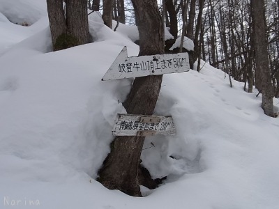 キトウシ山 スノーシュー_e0326953_165288.jpg