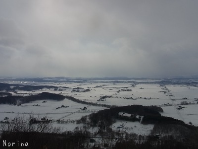 キトウシ山 スノーシュー_e0326953_16565497.jpg