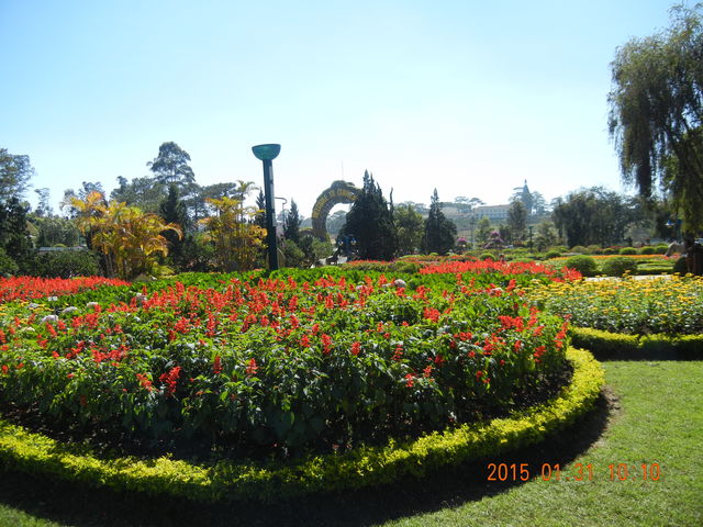 ’15,②2,12(木)ベトナム旅行②ダラットの街歩き!_f0060461_1214422.jpg