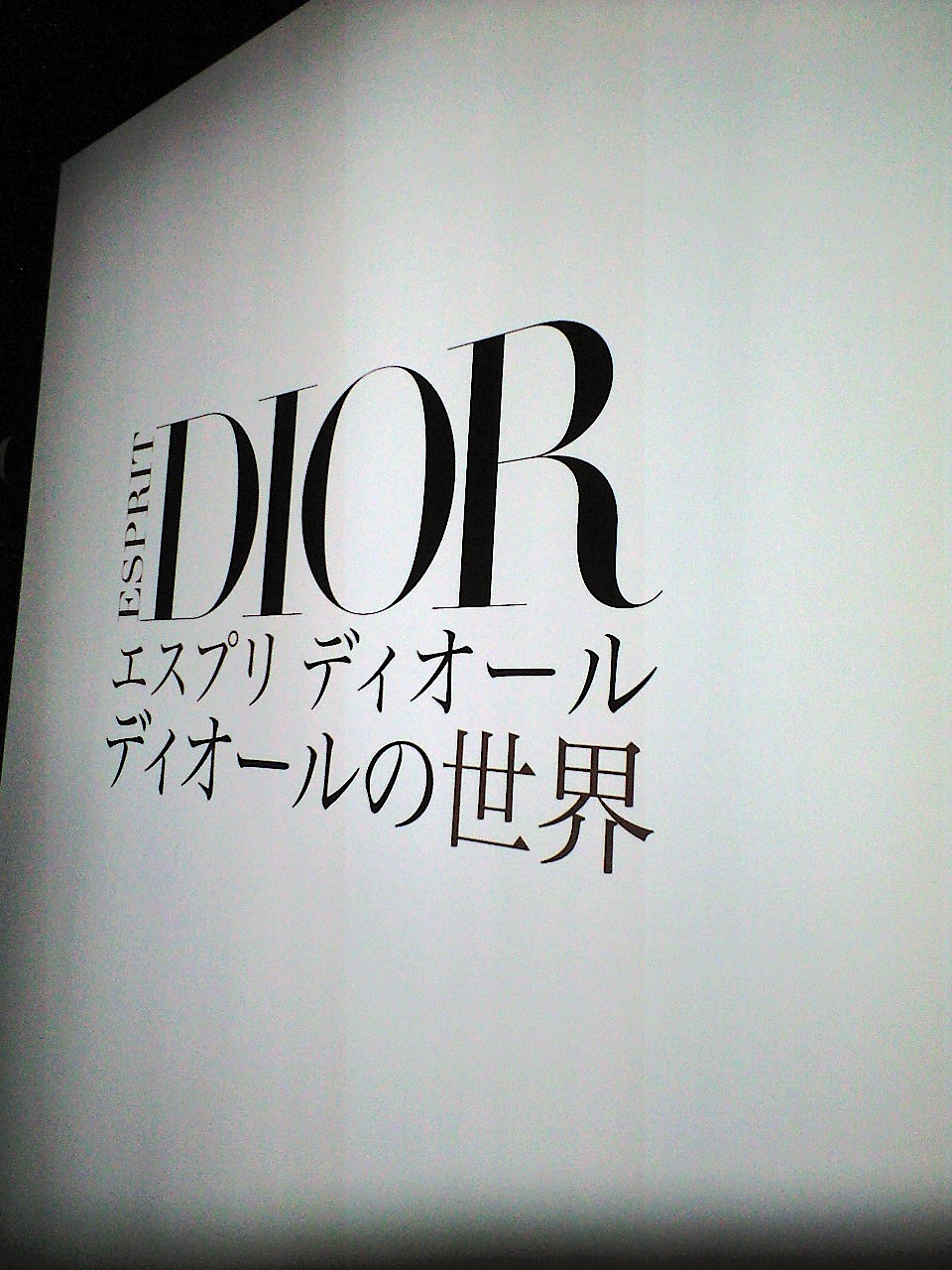 クリスチャン・ディオールのエスプリ_c0157866_15284585.jpg