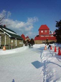 プチ便り(雪まつり②)_a0206870_8494623.jpg
