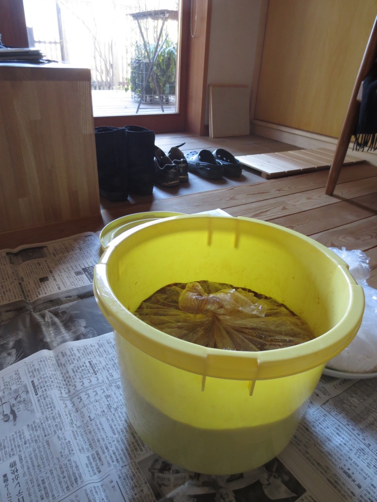 我が家の1年味噌_c0310571_10051741.jpg