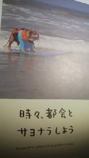 f0200871_1292532.jpg