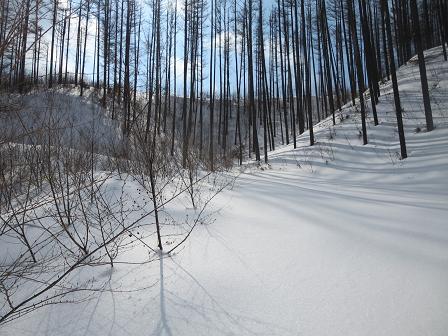 三階峰　　林道ラッセル修行・山頂は目の前・・_f0302771_15105967.jpg