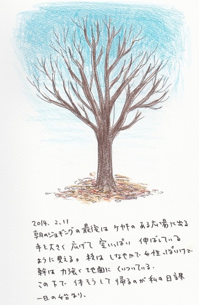 冬のケヤキの木 一天一画 Yuki Goto