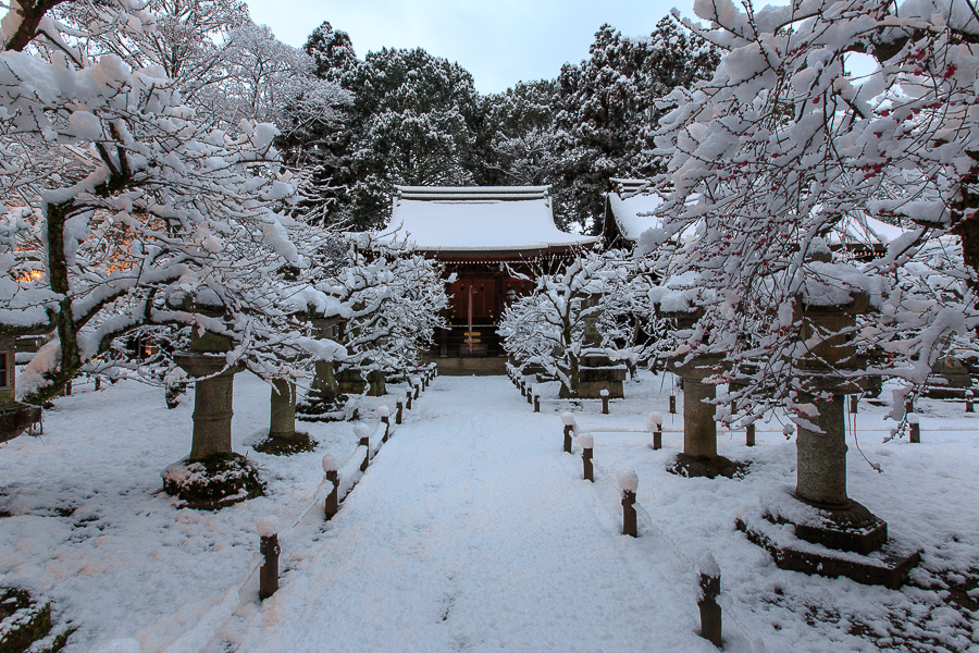 雪景色！　～北野天満宮～_b0128581_2145631.jpg