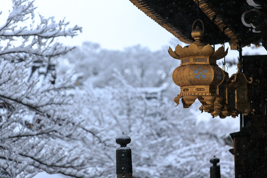 雪景色！　～北野天満宮～_b0128581_216922.jpg