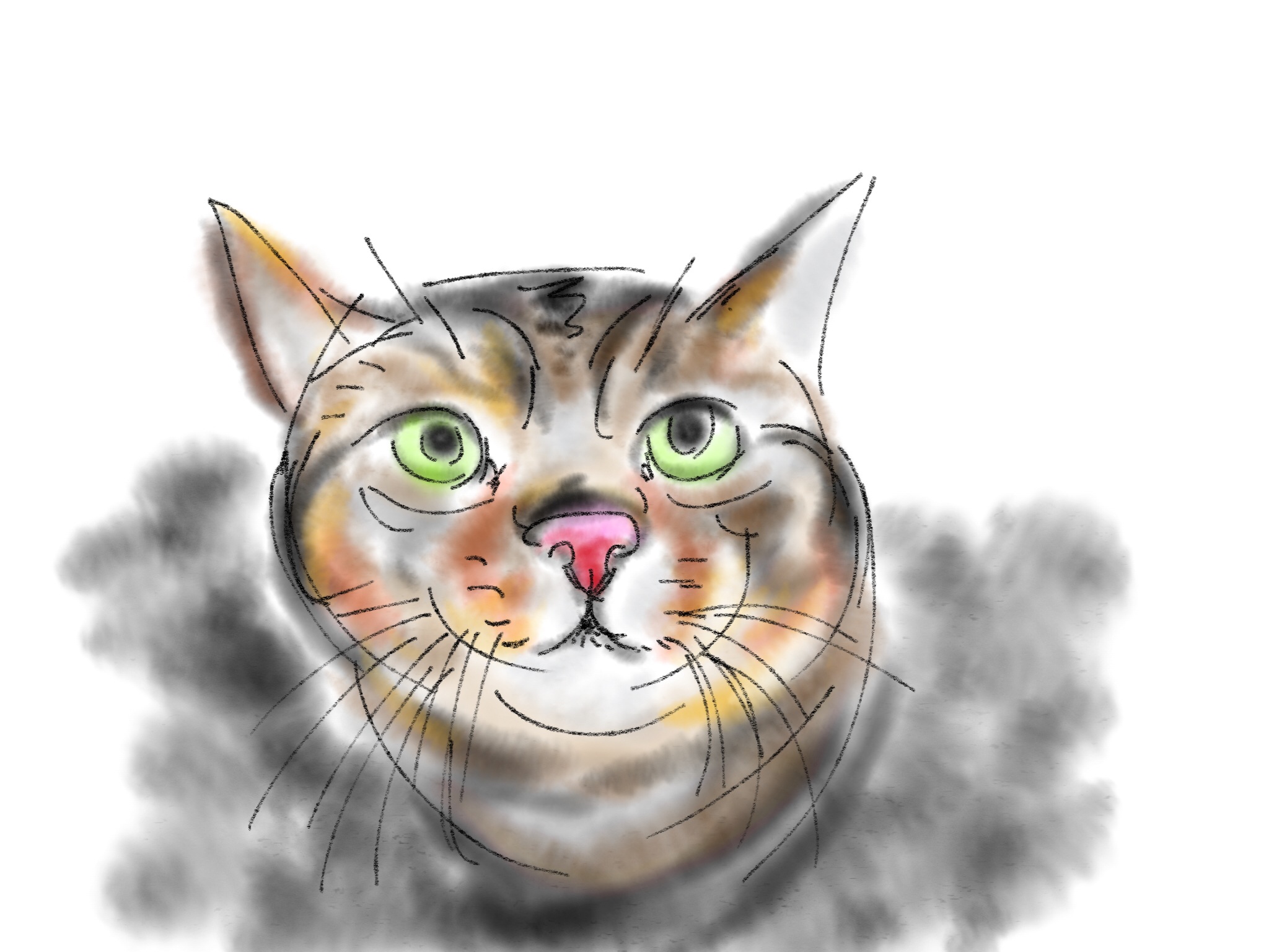 猫　イラスト_f0177986_17393229.jpg