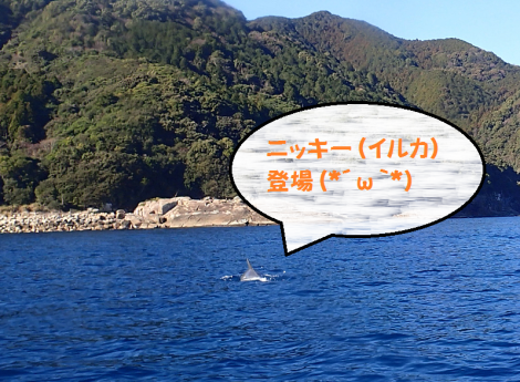 e0115199_18180315.png