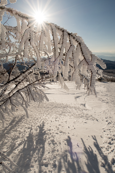 雪上空中散歩　根子岳_b0244811_2239752.jpg