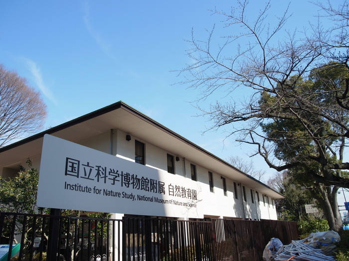 国立科学博物館附属 自然教育園_e0276411_21314143.jpg