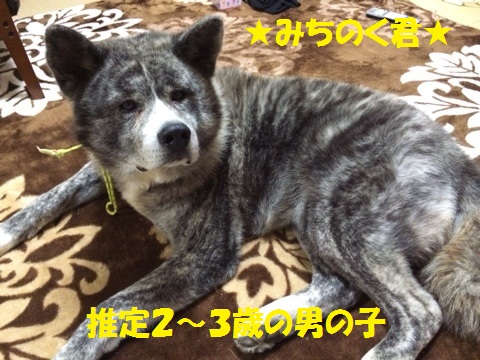 f0121712_9465477.jpg