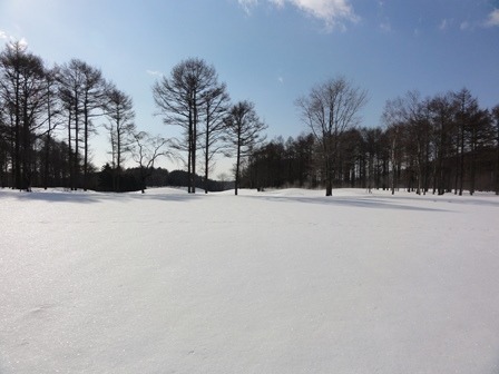 f0227321_1950510.jpg