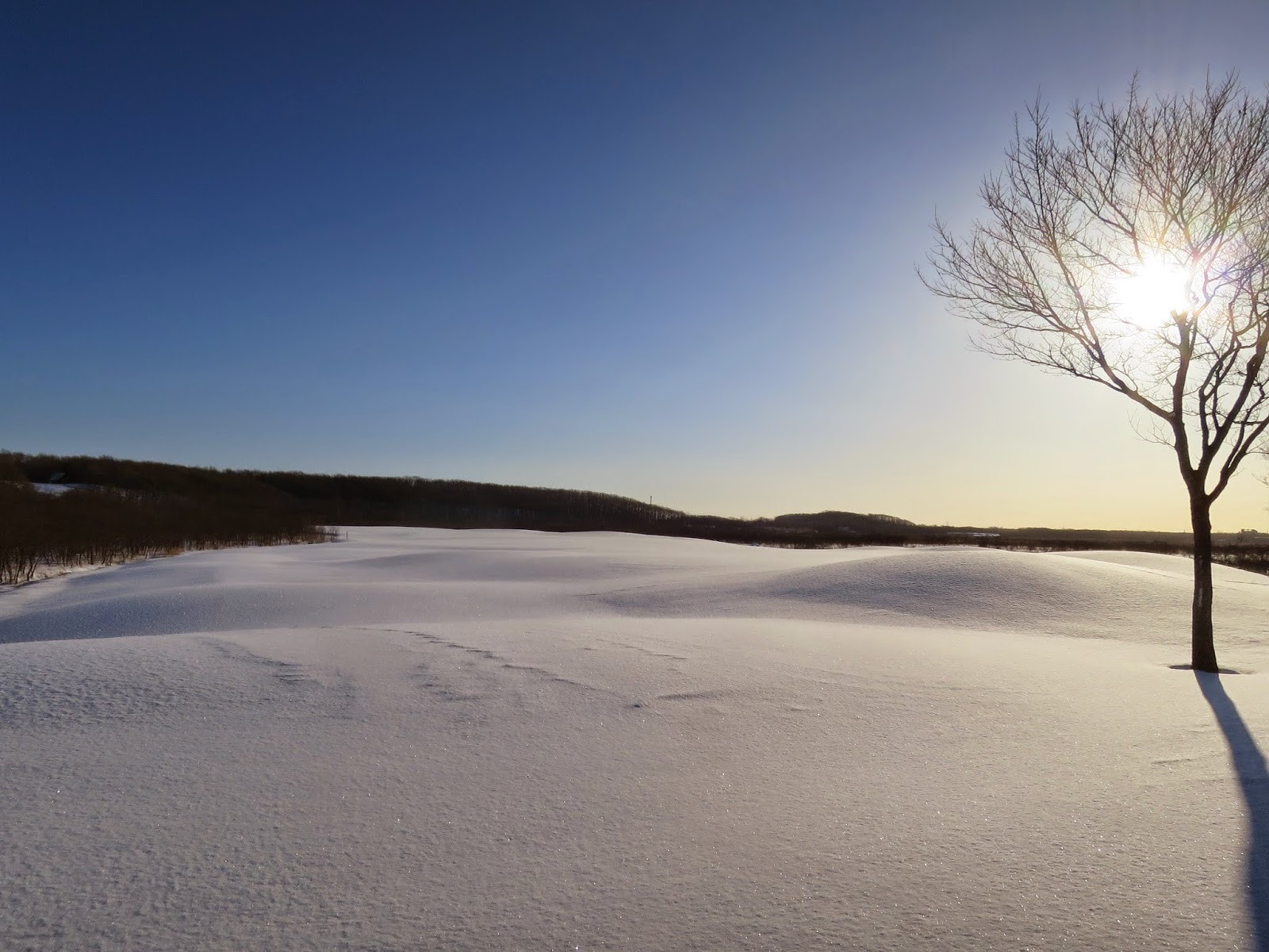 f0227321_19512825.jpg