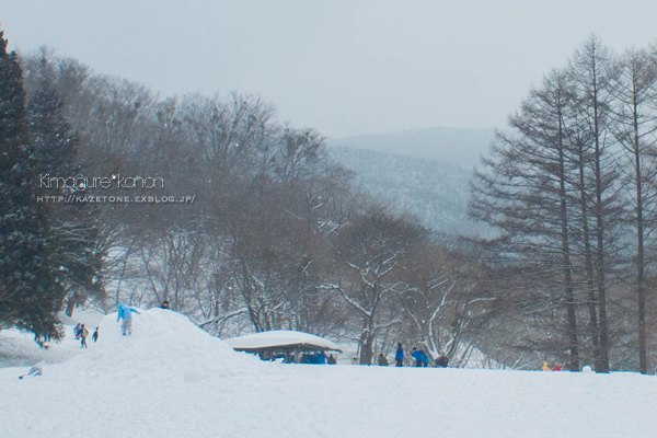 ワタシの冬**県森便り③_b0197639_17384826.jpg