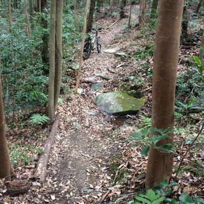 ながさき県民の森MTBクロスカントリー受付開始_e0138939_7414259.jpg