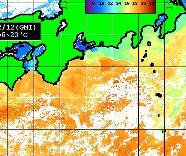うううっ、遠州灘に反転流が入ってきそうな・・・？？【ビッグゲームルアーズ】_f0009039_17200747.jpg