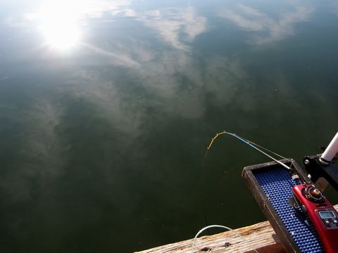 e0007544_8225541.jpg